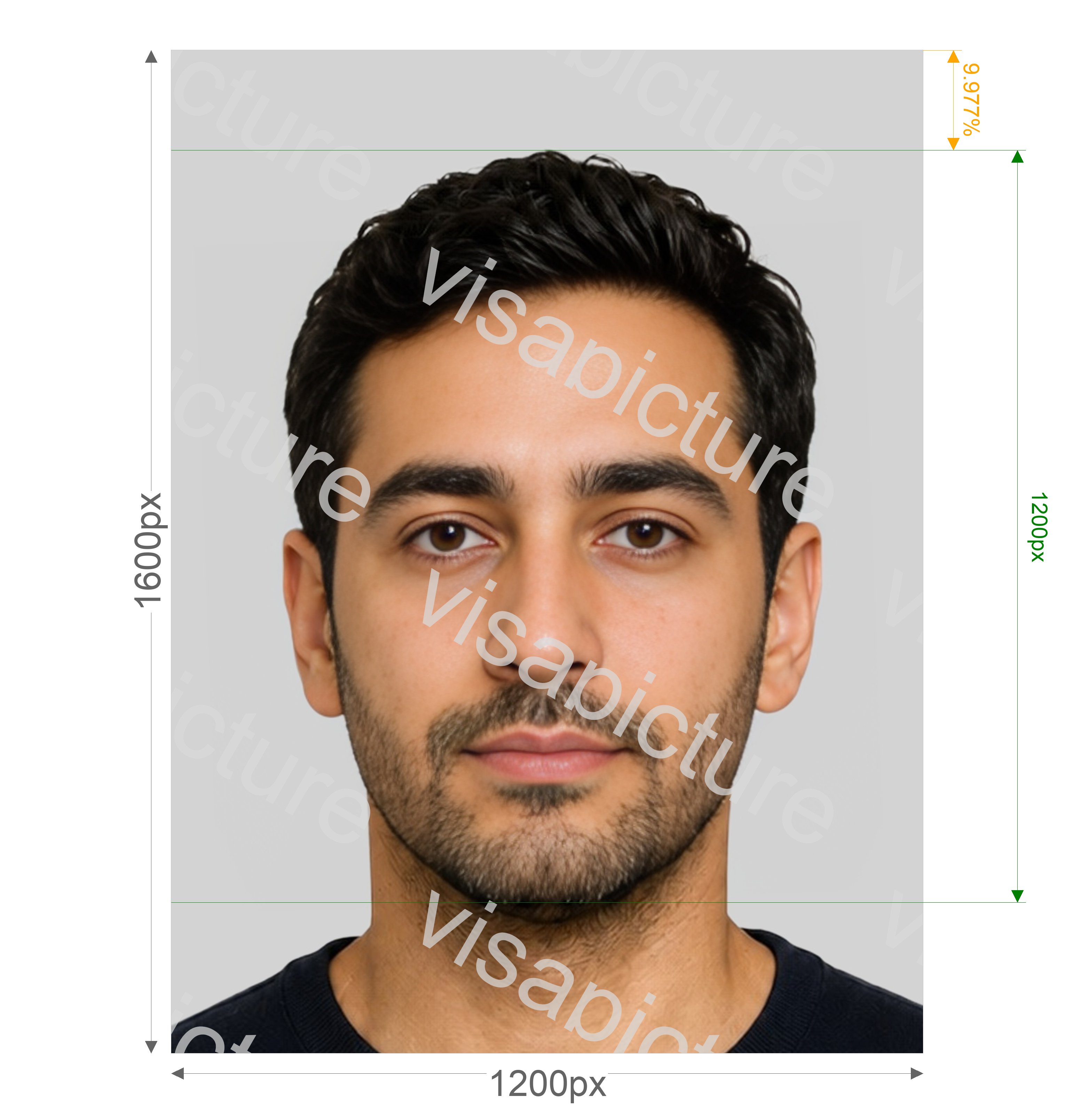 VisaPics passport photo example 28_preview.jpg?v=1778860502