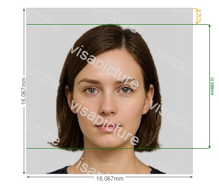 India India Visa 190x190 px via VFSglobal.com photo after processing - compliant 16.087x16.087mm result