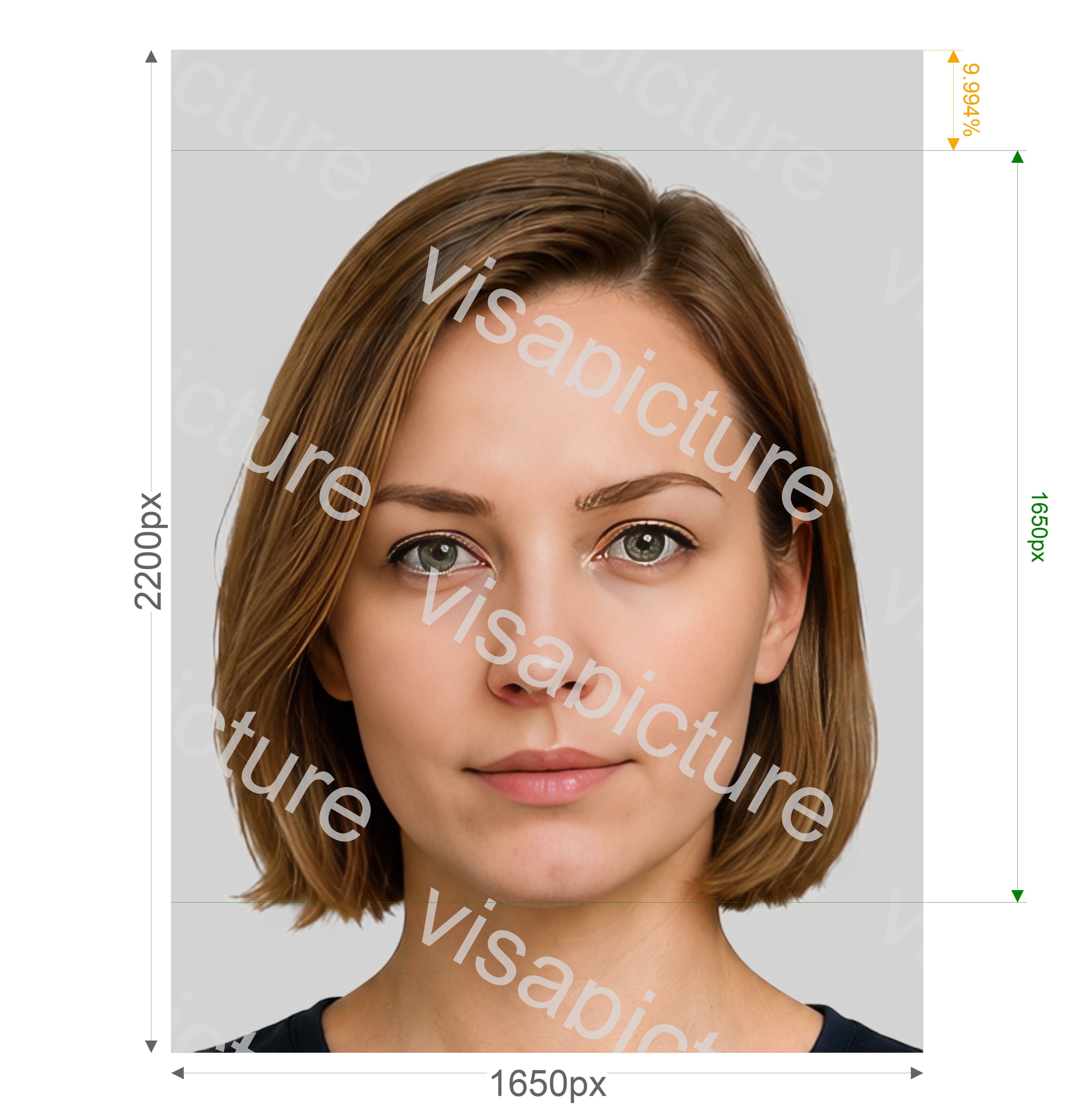 VisaPics passport photo example 531_preview.jpg?v=1778905917