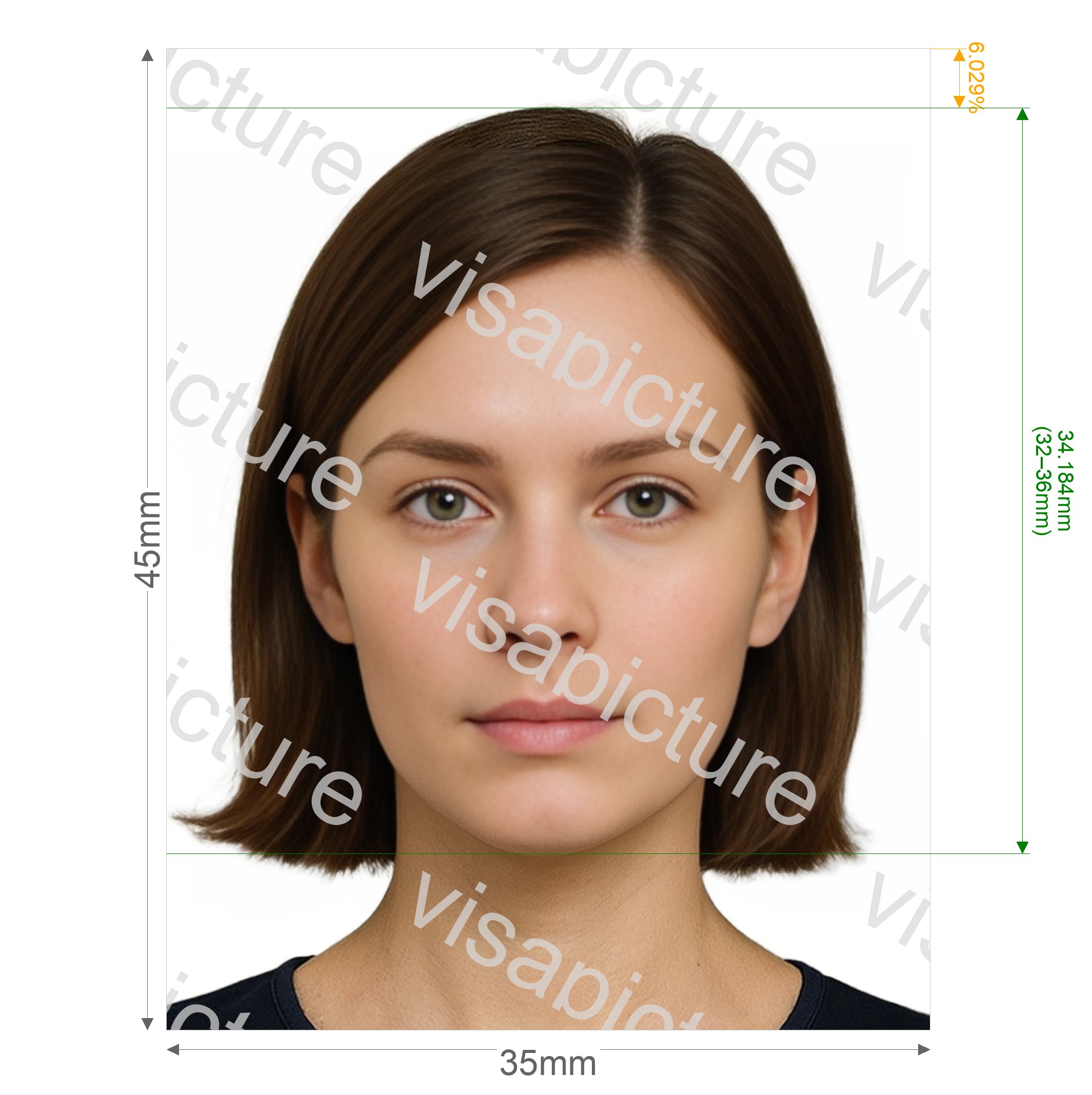 Russia Russia International Passport Gosuslugi.ru, 35x45 mm photo after processing - compliant 35.0x45.0mm result