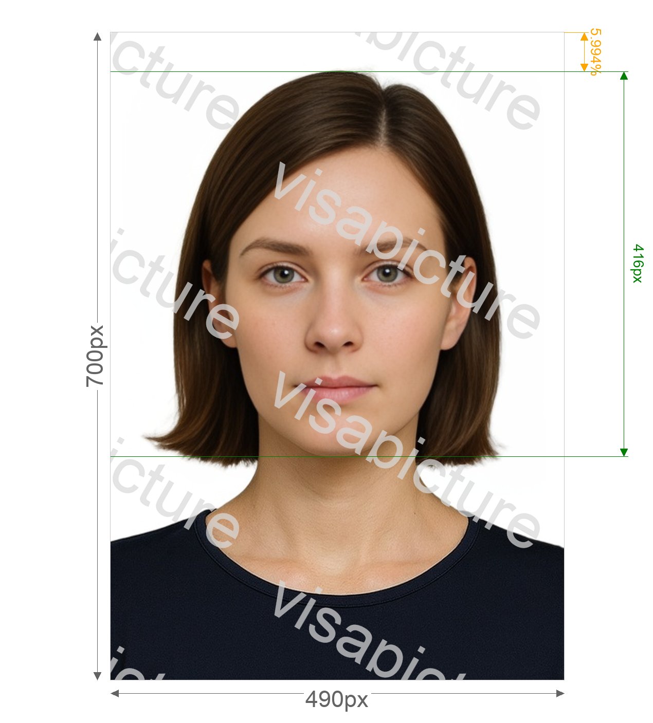 Russia Russia Driving License Gosuslugi 245x350 px photo after processing - compliant 10.372x14.817mm result