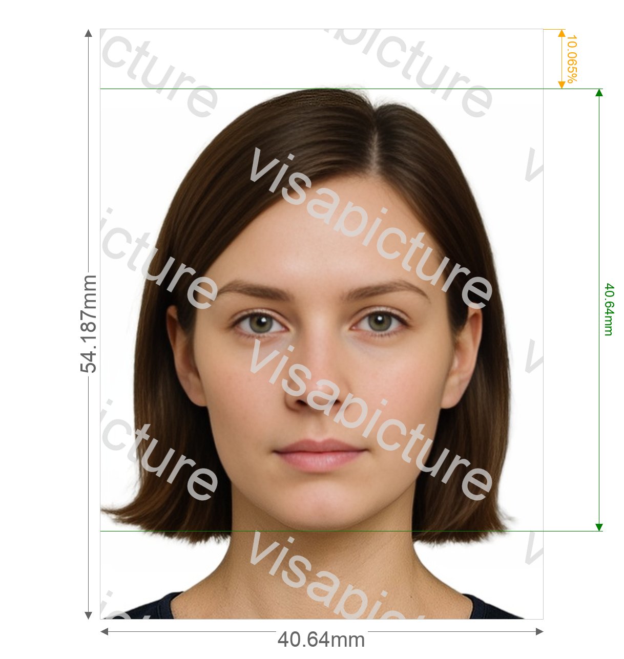 Saudi Arabia Saudi Arabia Identity card Absher 640x480 pixel photo after processing - compliant 40.64x54.187mm result