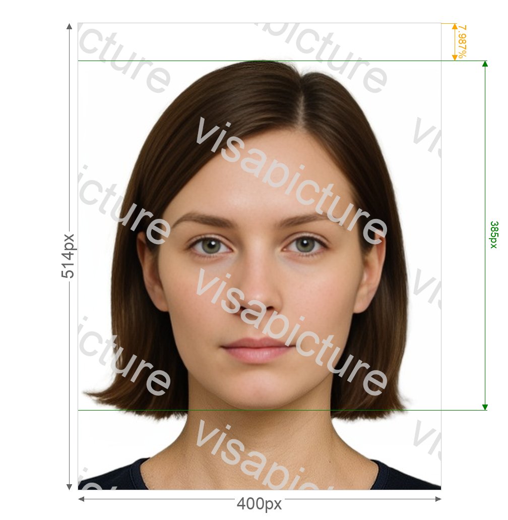 Singapore Singapore seaman's discharge book 400x514 px photo after processing - compliant 33.867x43.519mm result